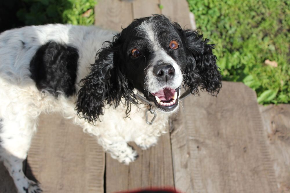 Photograph by СТЕПАН ДЖУЛАКИДЗЕ