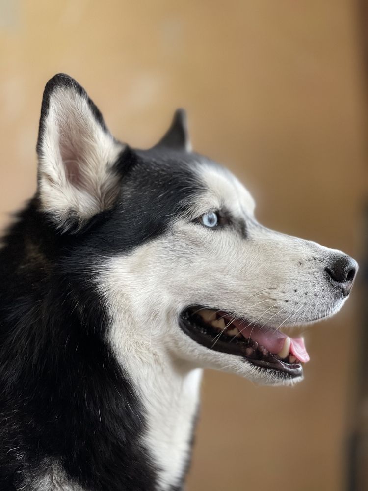 Photograph by Дмитрий Трефилов