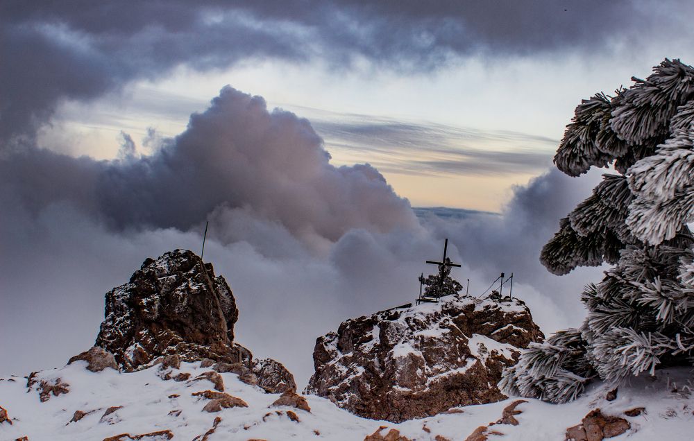 Photograph by Ирина Крепак