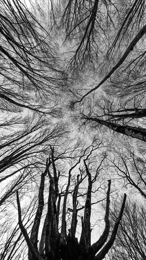 Photograph by Javad Mahdavian