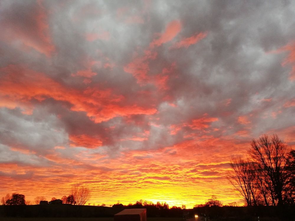 Photograph by Лена Гобена