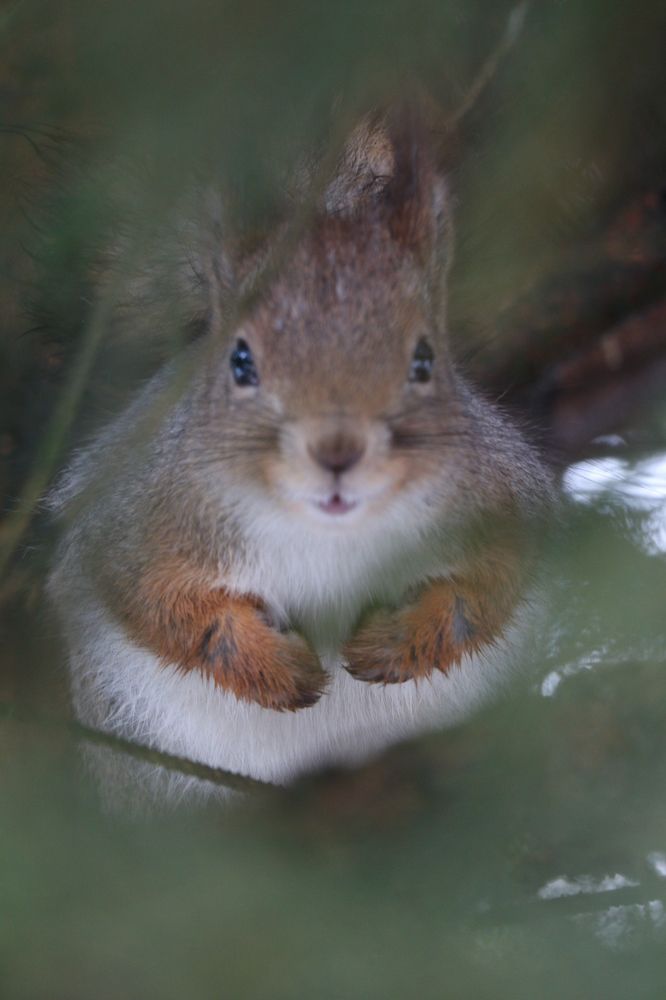 Photograph by Kseniya Panova