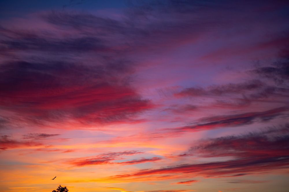 Photograph by Юлия Долгина