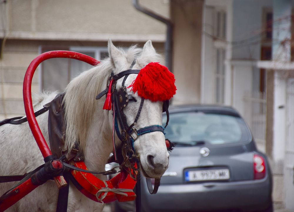 Одна лошадиная сила