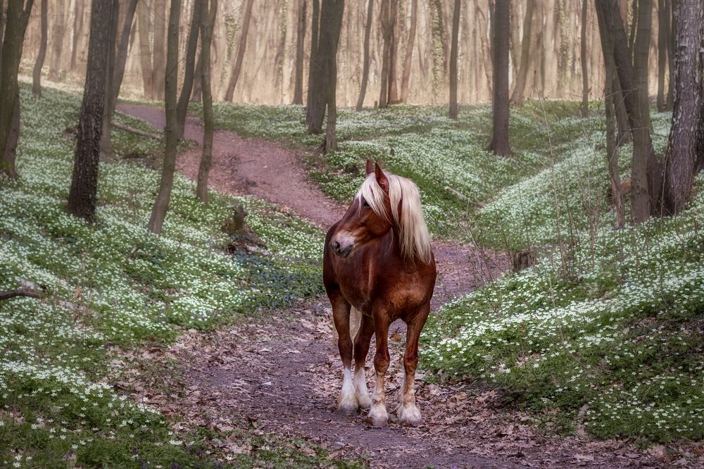 Photograph by Наталія Астапчик