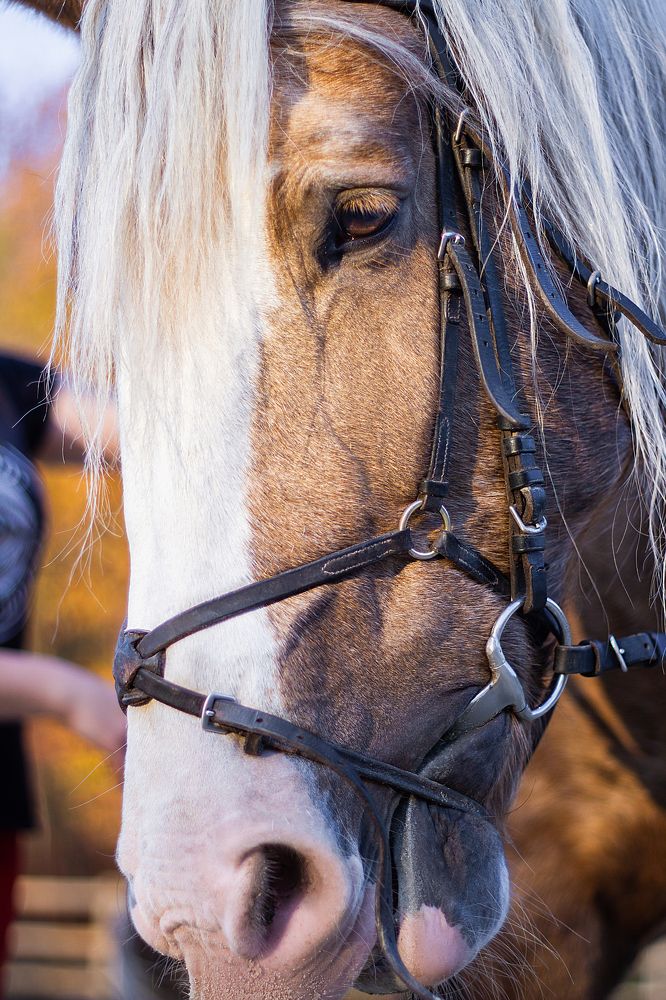 Photograph by Наталія Астапчик