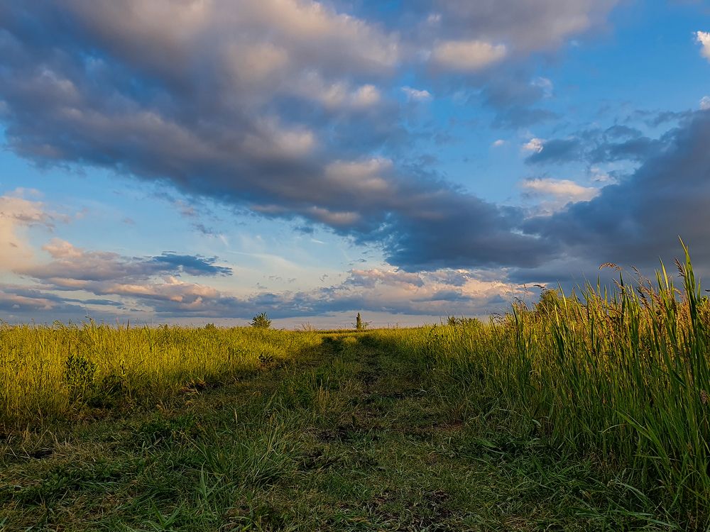 Photograph by Анастасия