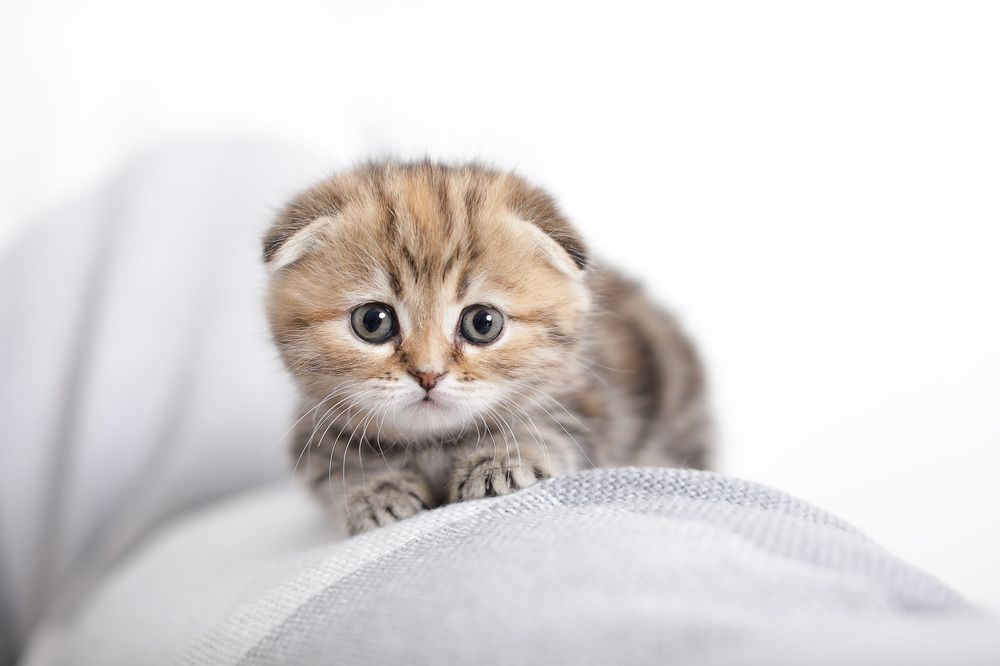 Photograph by Ольга Потачева