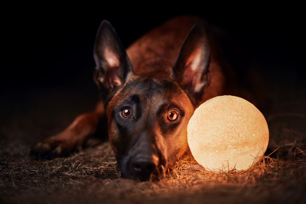 Photograph by Марина Плевако