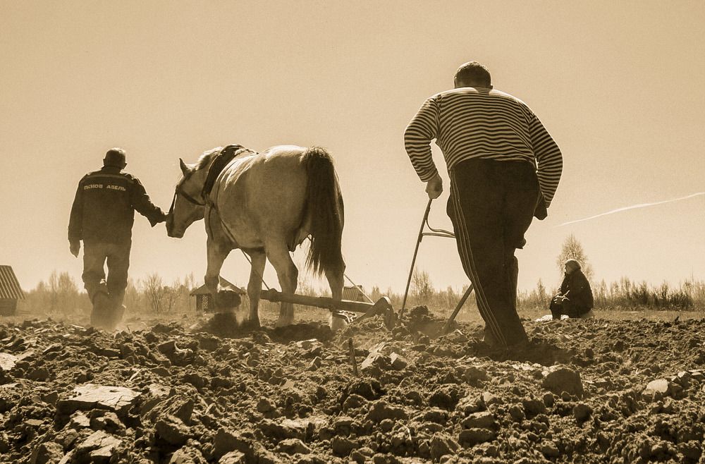 Photograph by Татьяна Шандромайло