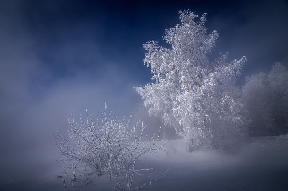 Фотография автора Александр Рудный