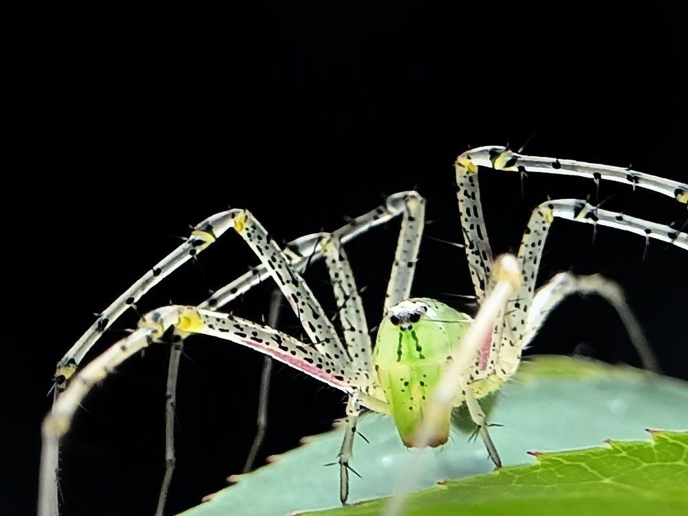 Photograph by B.Dhana sekaran