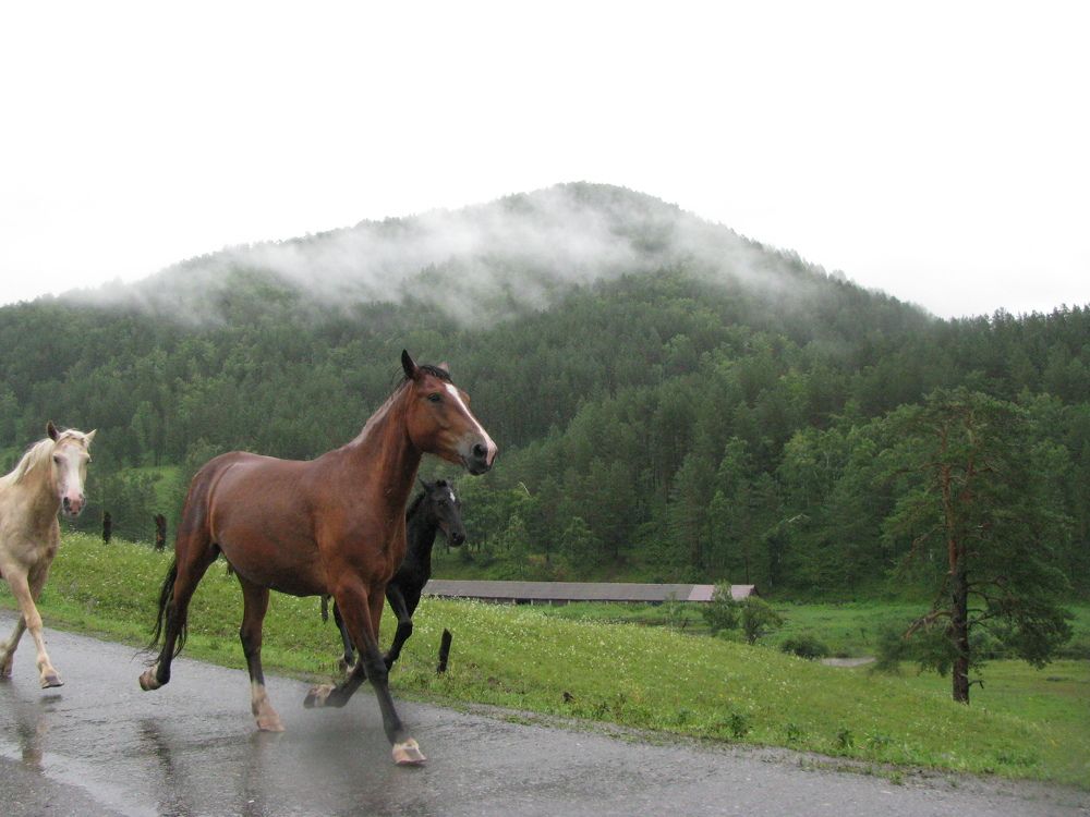 Photograph by Kseniya Panova