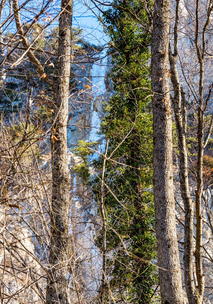 Photograph by Андрей Хаецкий