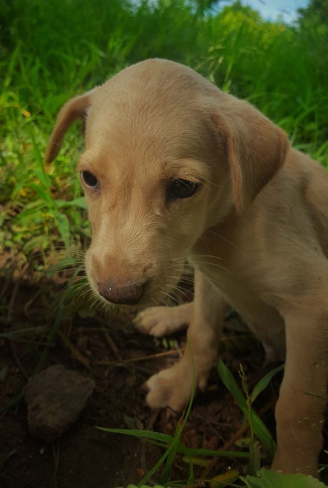 Photograph by B.Dhana sekaran