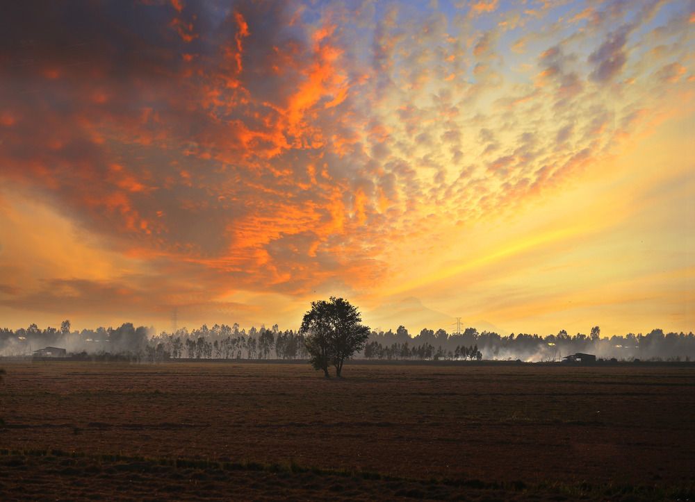 Photograph by Ngo Duy Minh Triet