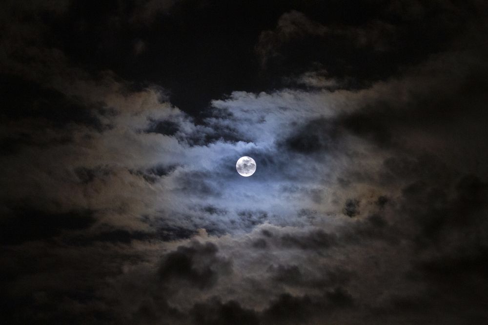 Photograph by Carla Salanova