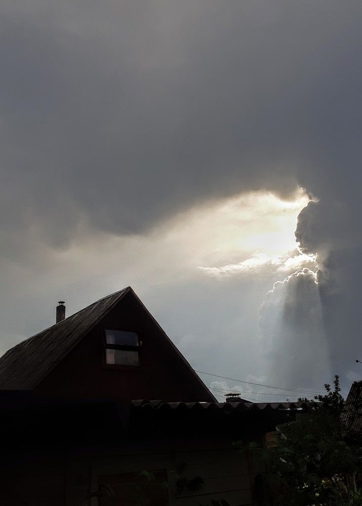 Photograph by Владимир Шнип