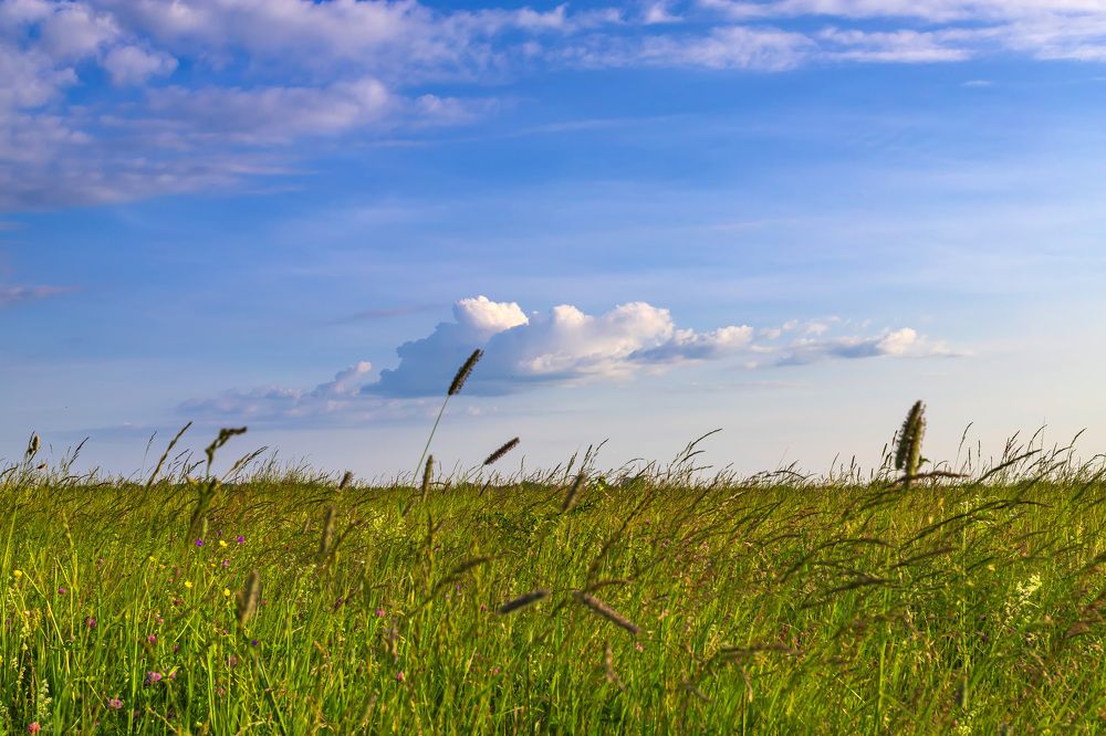 Photograph by Сергей Кочетов