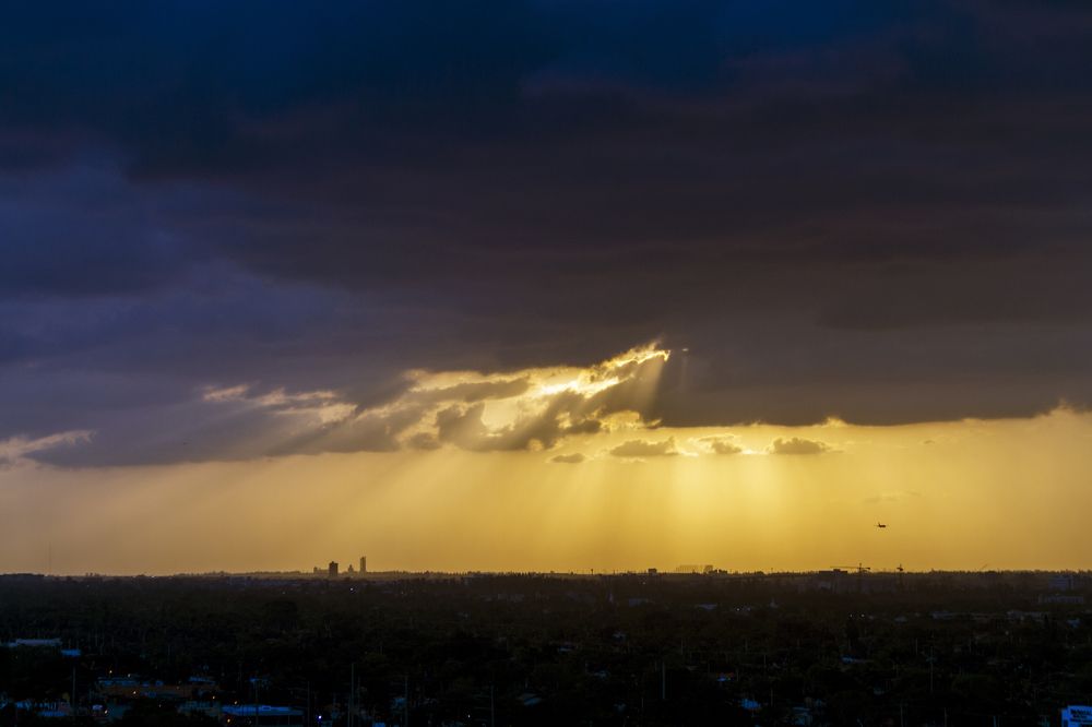 Photograph by Carla Salanova