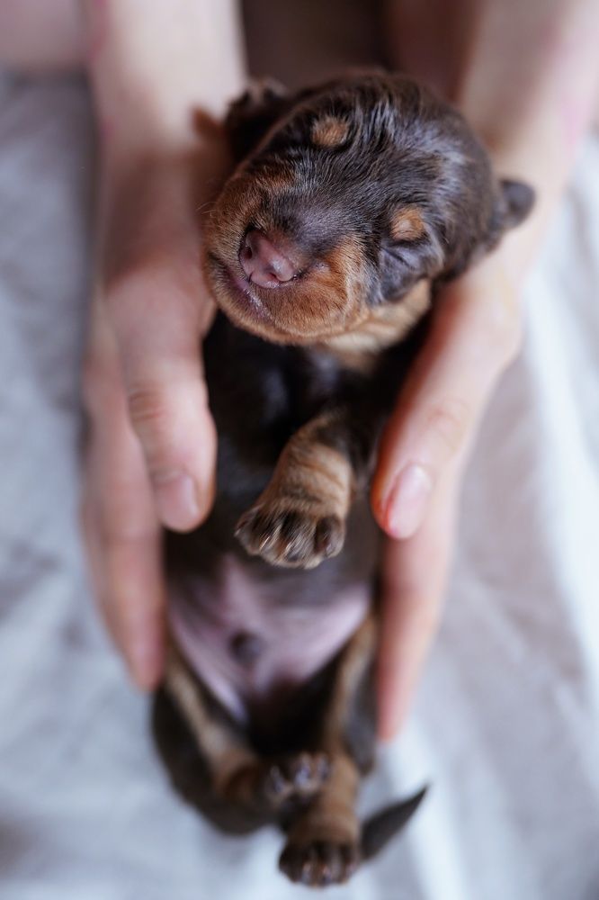 Photograph by Алина