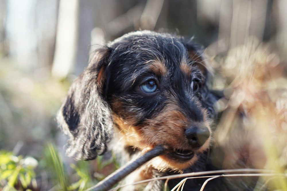 Photograph by Алина