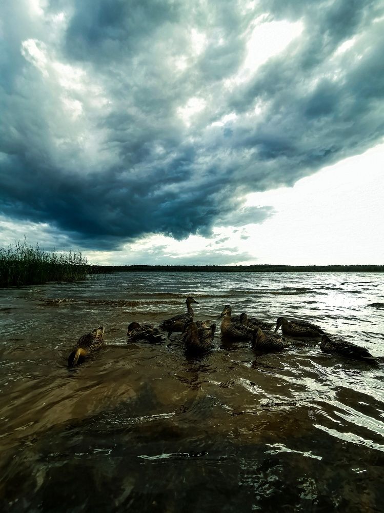 Photograph by Алина