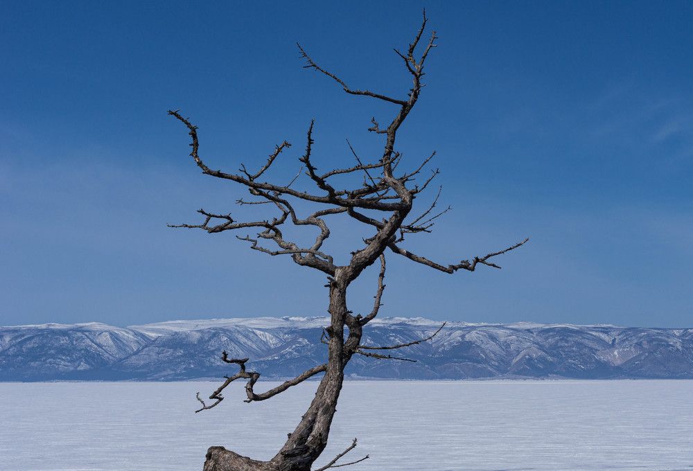Photograph by Татьяна Вернадская