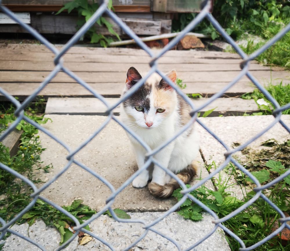 Photograph by Ольга Потачева