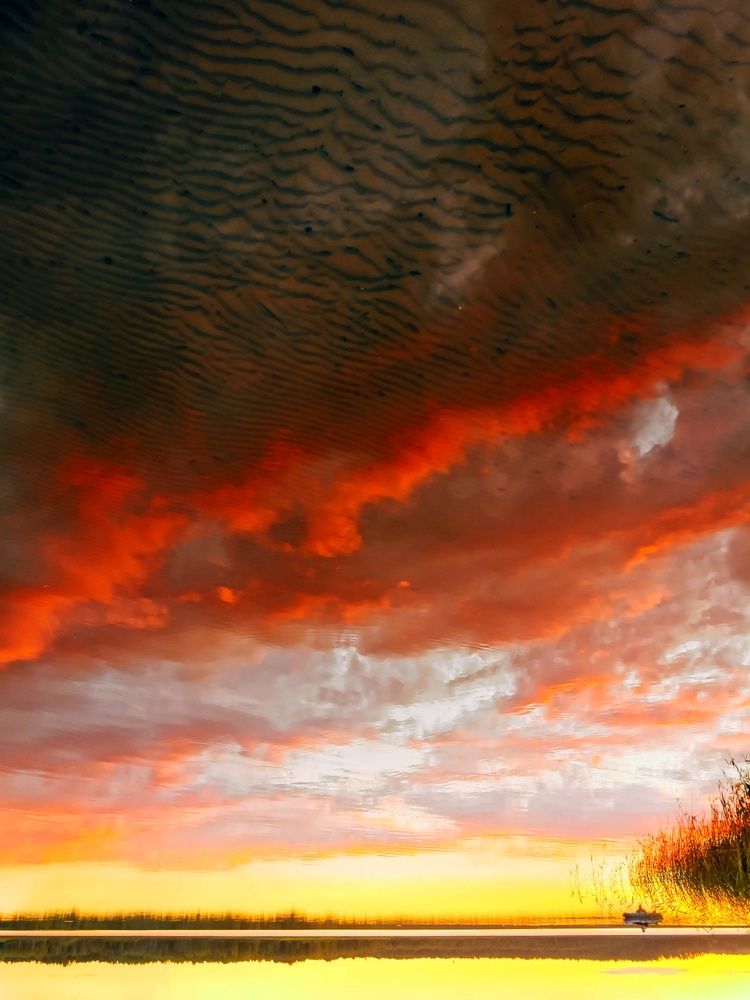 Photograph by Алина