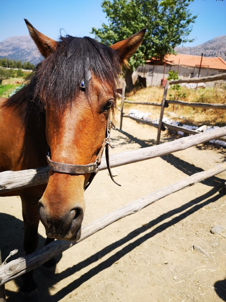 Photograph by Ольга Потачева