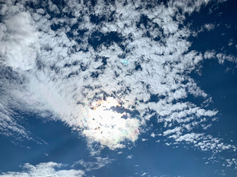 Photograph by Светлана Хохлова