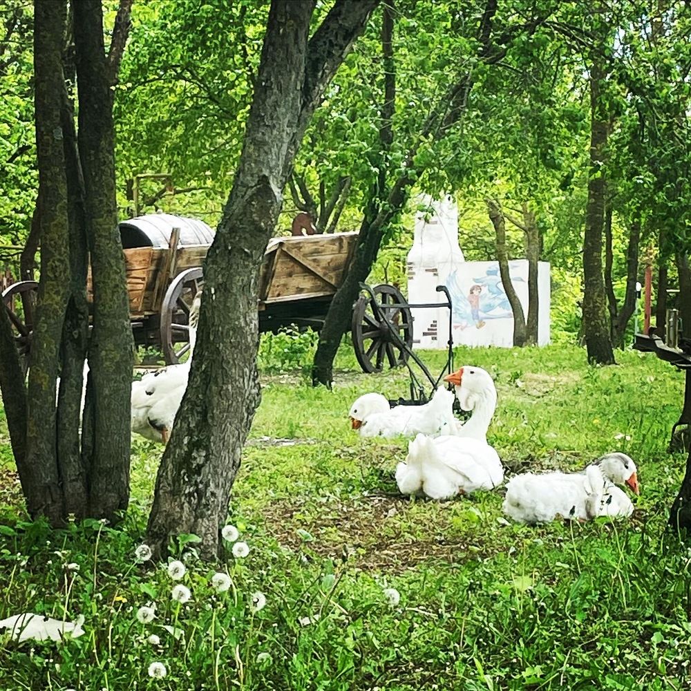 Фотография автора Мария Палтусова