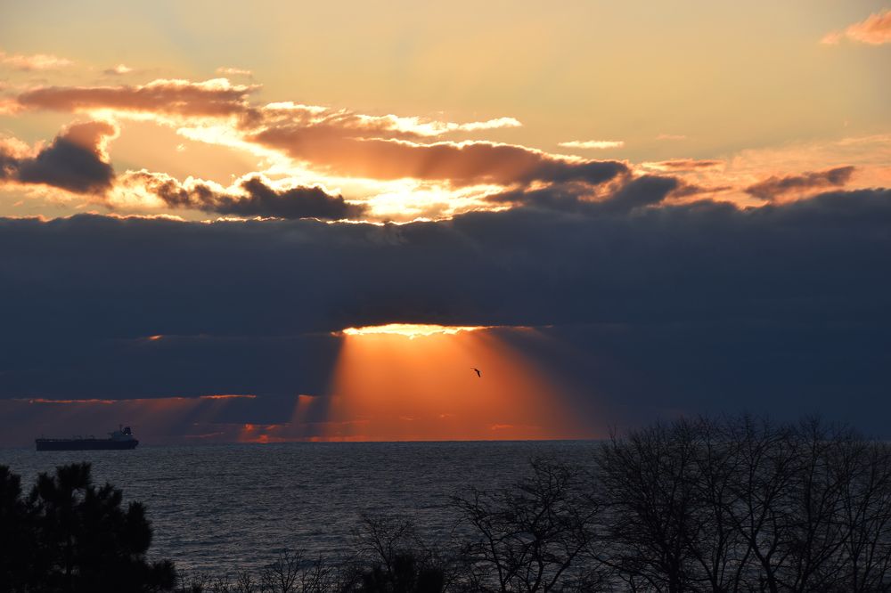 Небесные врата