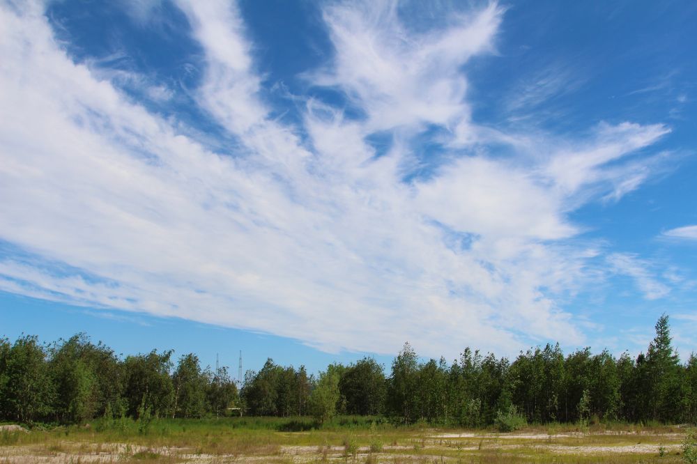 Фотография автора Галина Лоскутова
