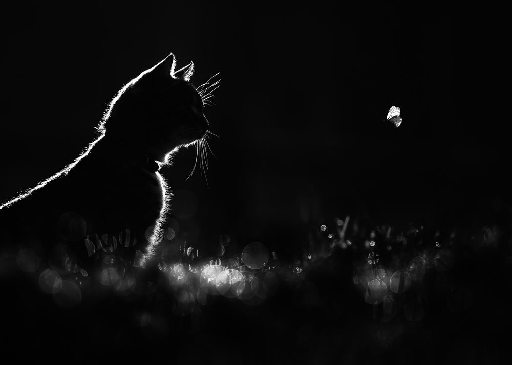 Photograph by Баранов Олег