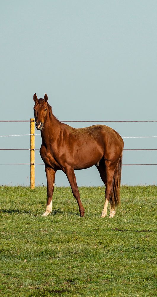 Photograph by Reinhold Seibel