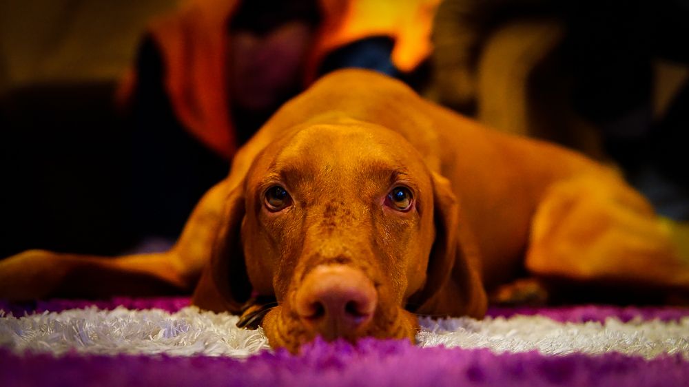 Photograph by Reinhold Seibel