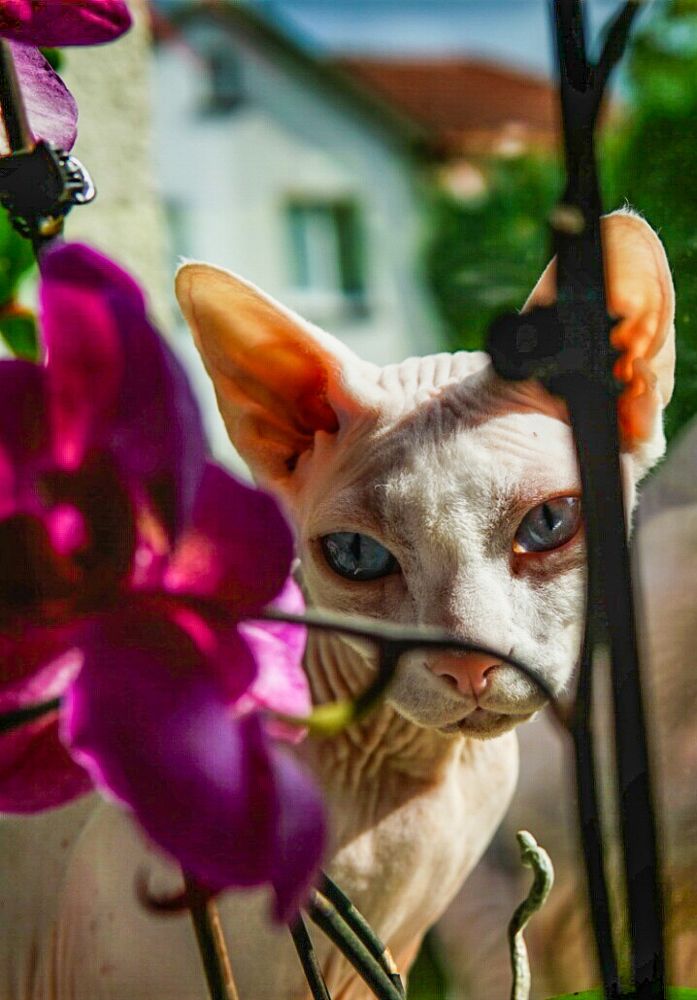 Photograph by Reinhold Seibel