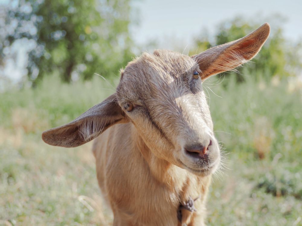 Photograph by Светлана Шибаршина