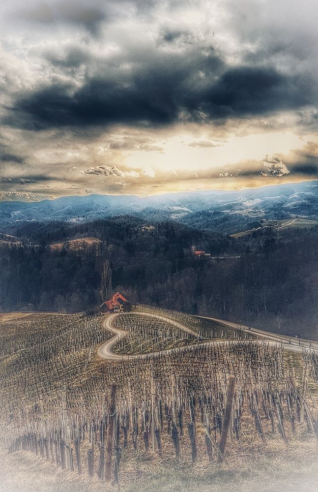 Photograph by Mojca Rebol