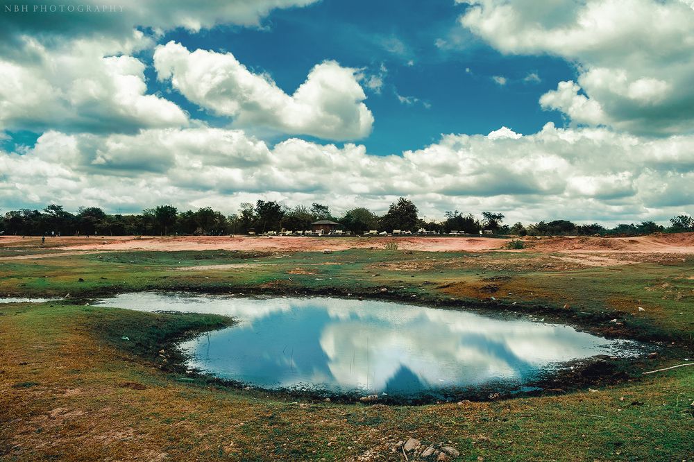 Photograph by NAVONILOY BHAUMIK