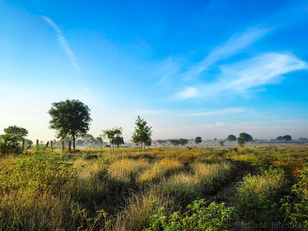 Photograph by NAVONILOY BHAUMIK