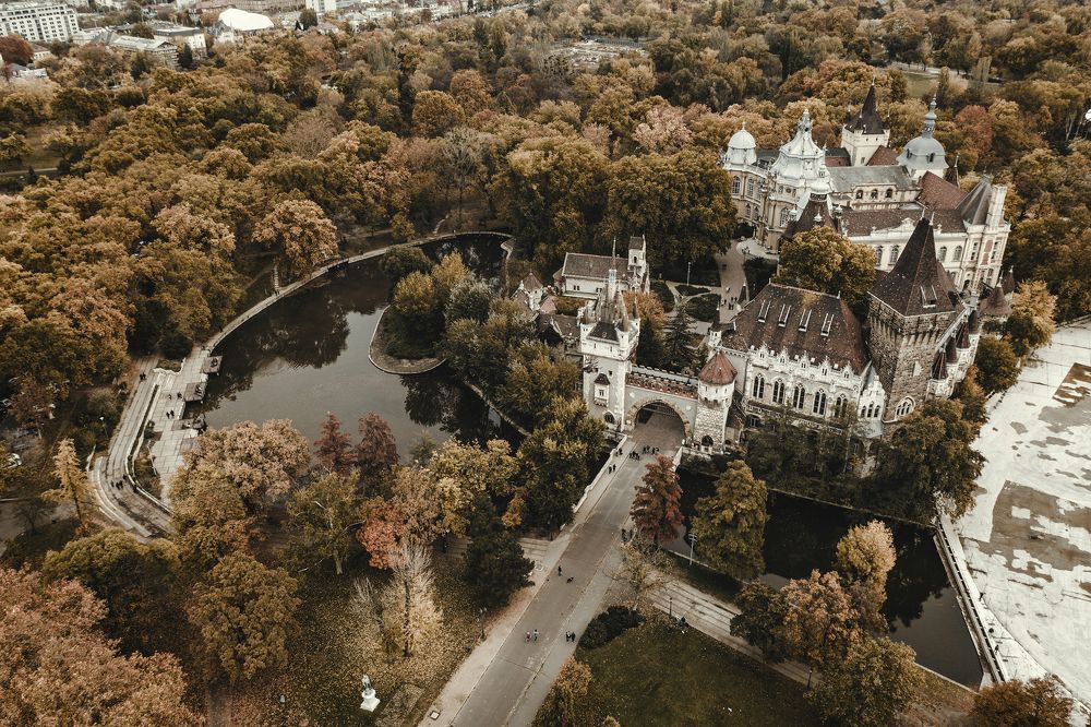 Фотография автора Csépe Róbert