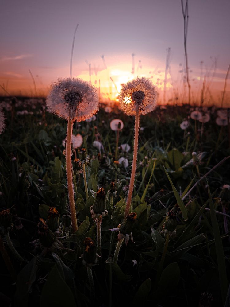 Photograph by Iгор Ситар