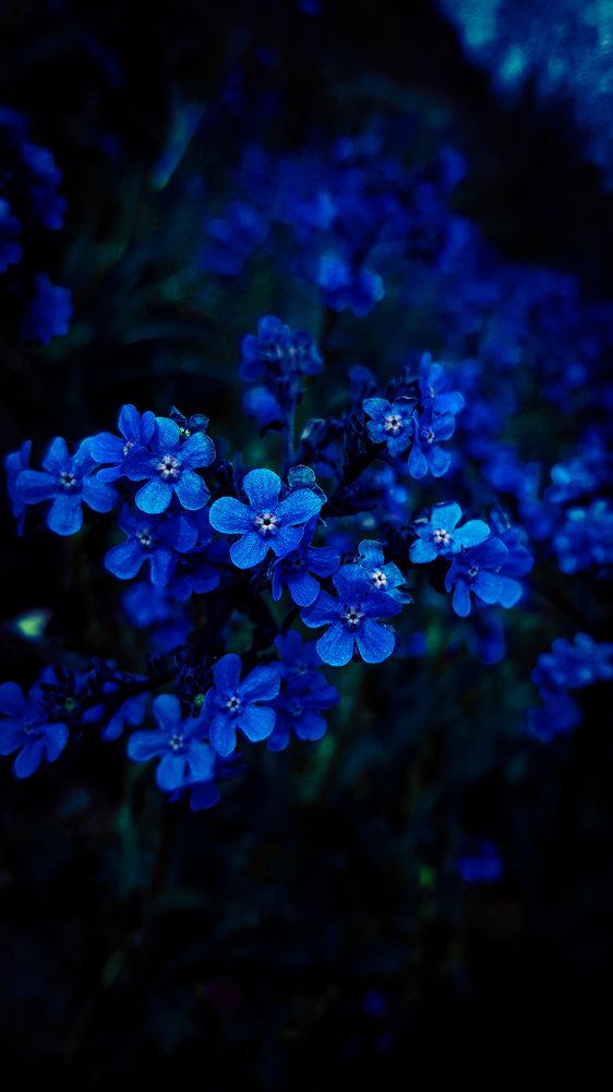 Photograph by Iгор Ситар