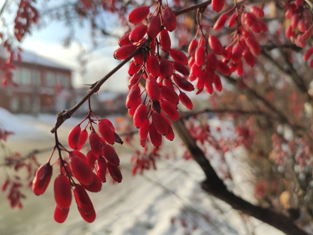 Photograph by Светлана Полякова