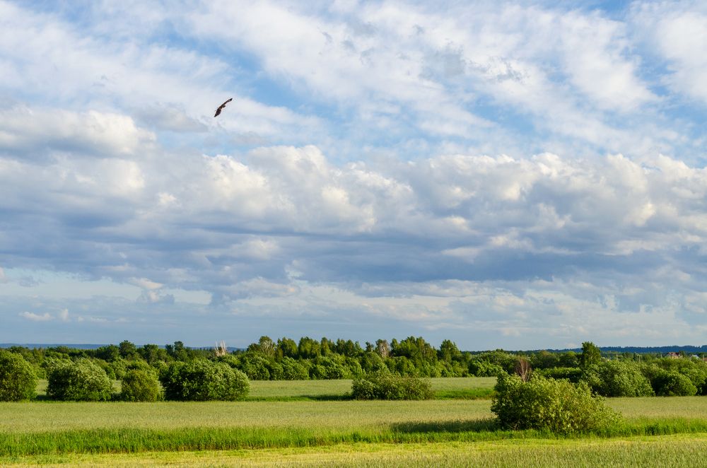 Photograph by Денис Кичев