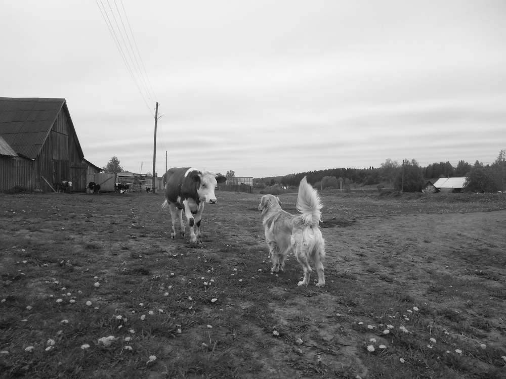 Photograph by Василина Окладовикова