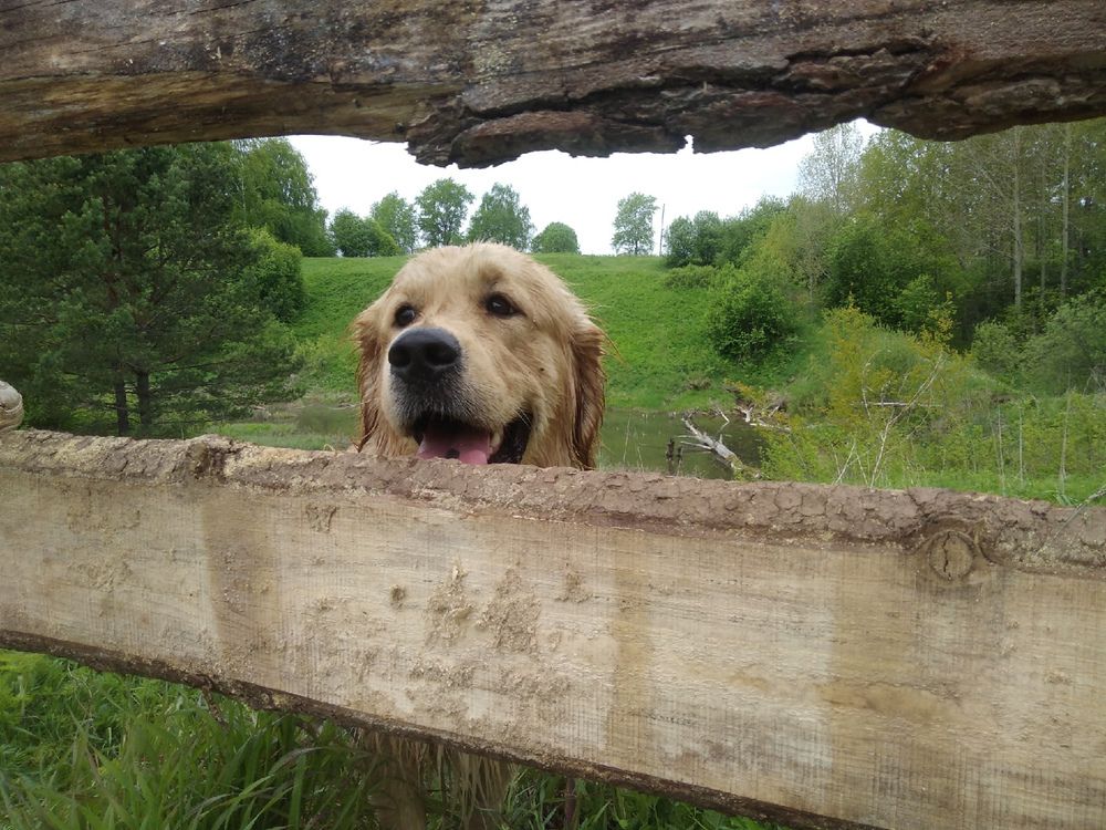 Photograph by Василина Окладовикова